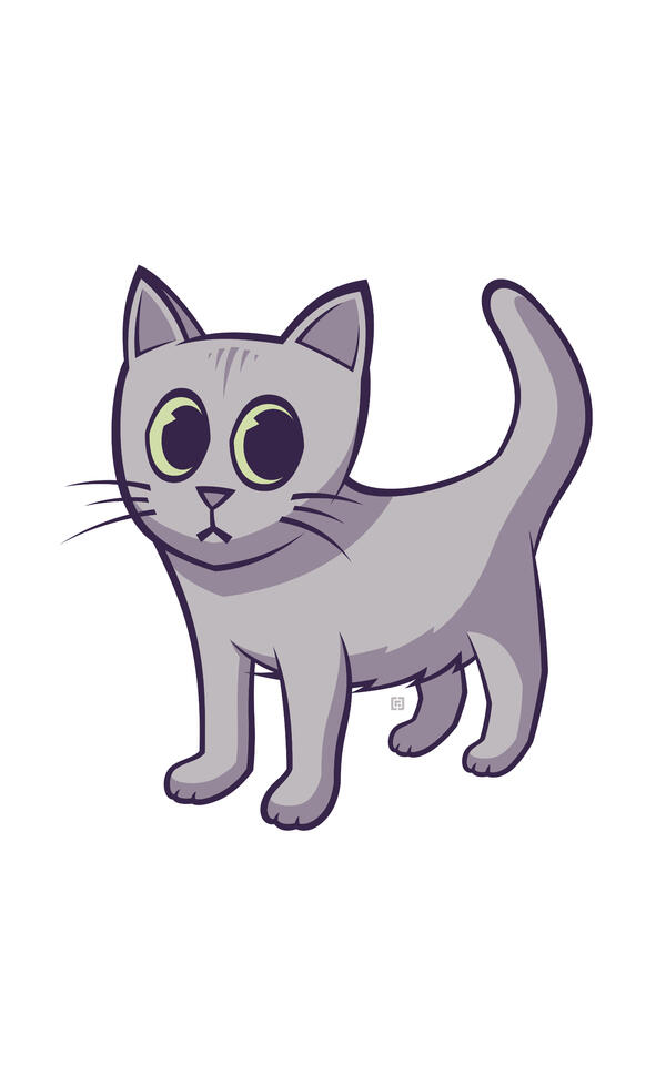 Spirit Animal Vector Design*, 2023 Adobe Illustrator